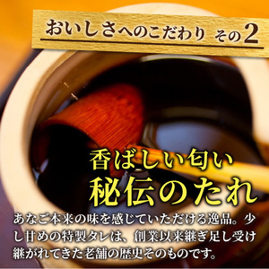 焼あなご(2～3串)【2402D00701】