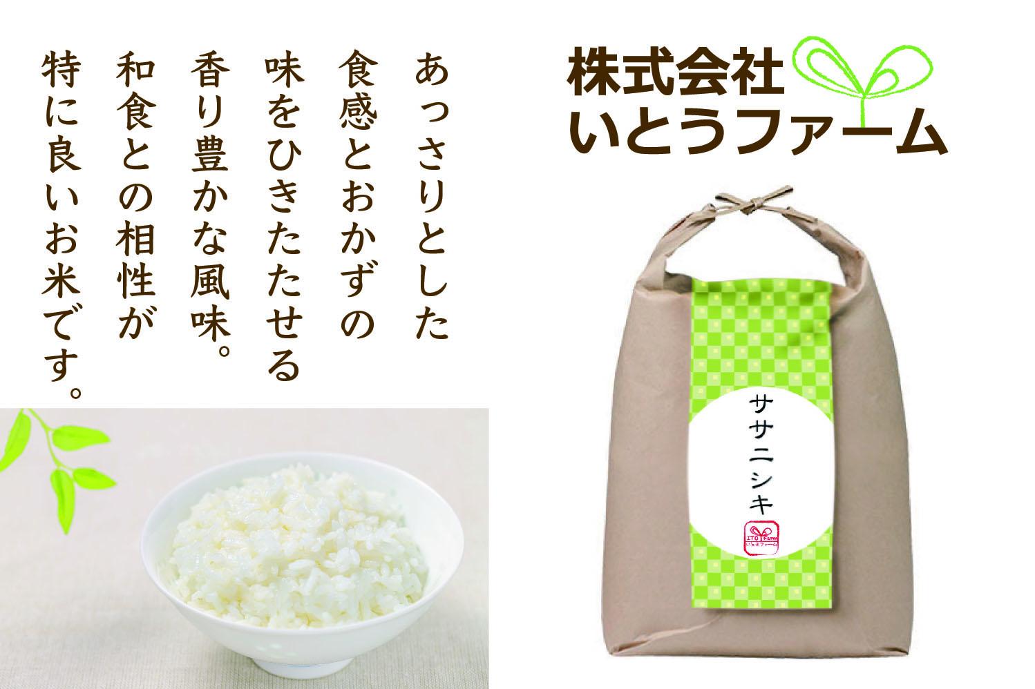 【3ヶ月定期便】いとうファームの 令和6年産「ササニシキ」5kg×3回 計15kg / 米 お米 精米 白米 ご飯  米定期便 産地直送 【itofarm012】