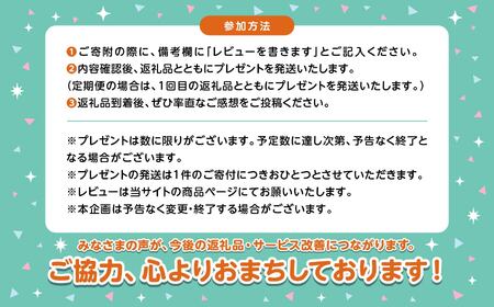 ＜先行予約 2024年6月以降お届け＞福島県二本松市産 黒毛和牛ローストビーフ計1kg ソース付【コーシン】