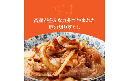 【定期便/6ヶ月連続】毎日の献立に！おおいたの牛・豚・鶏をセットでお届け（計9kg） 切り落とし 切落し スライス_2574R-2