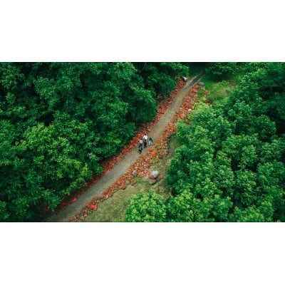 
                  富良野自然塾＜環境教育プログラム＞【1698022】
                