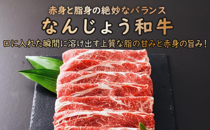 《極上の味わい》和牛しゃぶしゃぶ用 200g×6パック 合計1200g なんじょう和牛   I   和牛しゃぶしゃぶ 2パック ブランド和牛 牛肉 200g 1200g 6パック  沖縄県 南城市