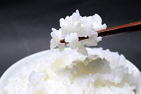 令和7年 千葉県産「ふさおとめ」15kg（精米）　竹ノ内米店