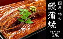 【ふるさと納税】国産「特大うなぎ蒲焼」5尾 1.15〜1.25kg 特製タレ5個セット うなぎ 鰻 ウナギ 人気 国産 蒲焼 蒲焼き unagi 土用の丑の日 グルメ タレ付き ひつまぶし 高級 冷凍 5尾 特大 ギフト 贈り物 贈答用 プレゼント 送料無料