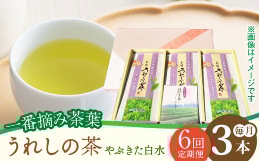 【6回定期便】一番摘み茶葉使用 うれしの茶 3本入（やぶきた 白水 100g×3本） /お茶の深香園 [UAF012] 茶 お茶 緑茶 日本茶 煎茶