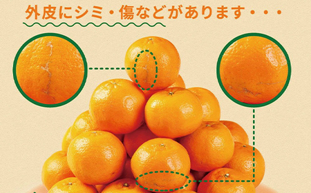 【数量限定】室戸産 ポンカン 2.5kg | ぽんかん 訳あり 家庭用 道の駅 直送 果物 フルーツ みかん 柑橘 甘い くだもの 果肉 蜜柑 人気 ふるさと納税みかん ふるさと納税果物 ふるさと納税