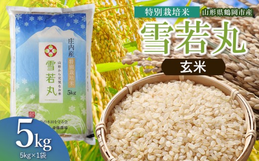 【令和8年産 新米】 斎藤農場の特別栽培米 雪若丸 玄米 5kg(5kg×1袋) 山形県鶴岡市 [K-837] | ゆきわかまる 5キロ 米どころ 庄内米 ブランド米 米 コメ こめ ご飯 ごはん 美味しい お取り寄せ 農家直送 東北 山形 鶴岡市 国産 おすすめ 人気 返礼品
