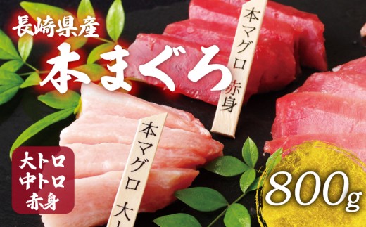 A143長崎県産 本マグロ 大トロ 中トロ 赤身 セット 800g 以上 産地直送 新鮮 刺身 柵 冷凍 真空パック 小分け タレ付き 刺身 本鮪 マグロ まぐろ 鮪 トロ 魚貝 鮮魚 海鮮丼 本家永
