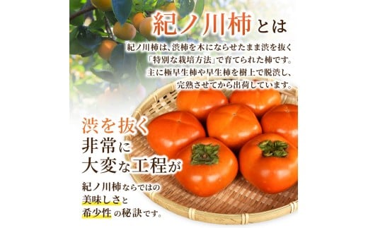 【先行予約】紀の川柿 （果実の中身が黒い！黒蜜柿）希少栽培！ 秀品６個～９個 こだわり農家厳選！【2026年10月上旬から11月上旬頃発送】/ 和歌山県 かつらぎ町 カキ 柿 紀ノ川柿 秀品 紀の川柿