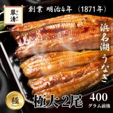 【創業1871年】浜名湖うなぎ 蒲焼2尾 400g前後  ミネラル豊富な水で育てた極大鰻【森町SF】