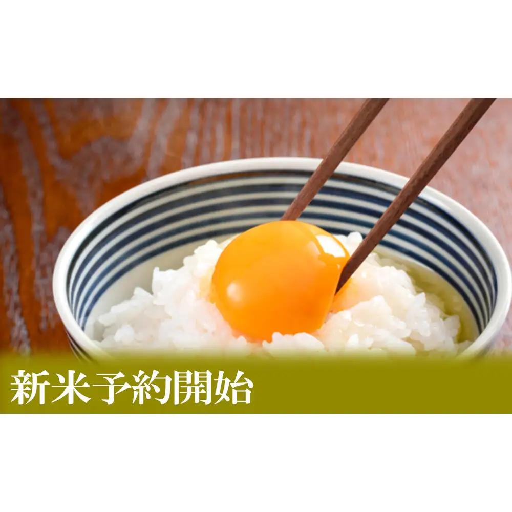 【令和8年産　新米予約】定期便３ヶ月【無洗米】5kg南魚沼しおざわ産コシヒカリ【定期便 銘柄米 ブランド米 無洗米 こしひかり コシヒカリ 魚沼産 新潟米 ごはん】【2026年10月上旬から1ヶ月以内