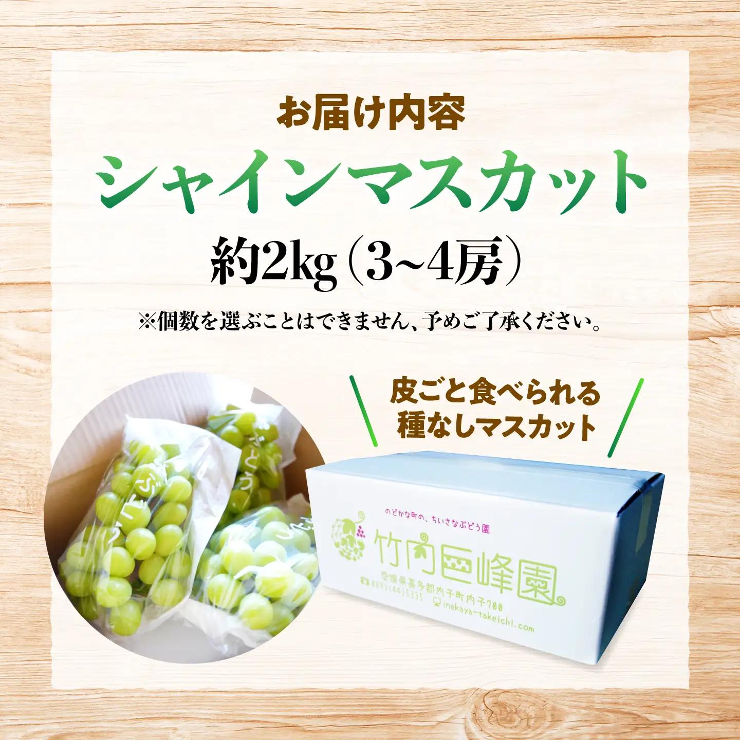 シャインマスカット 約2kg 先行予約 BKCA001 ぶどう