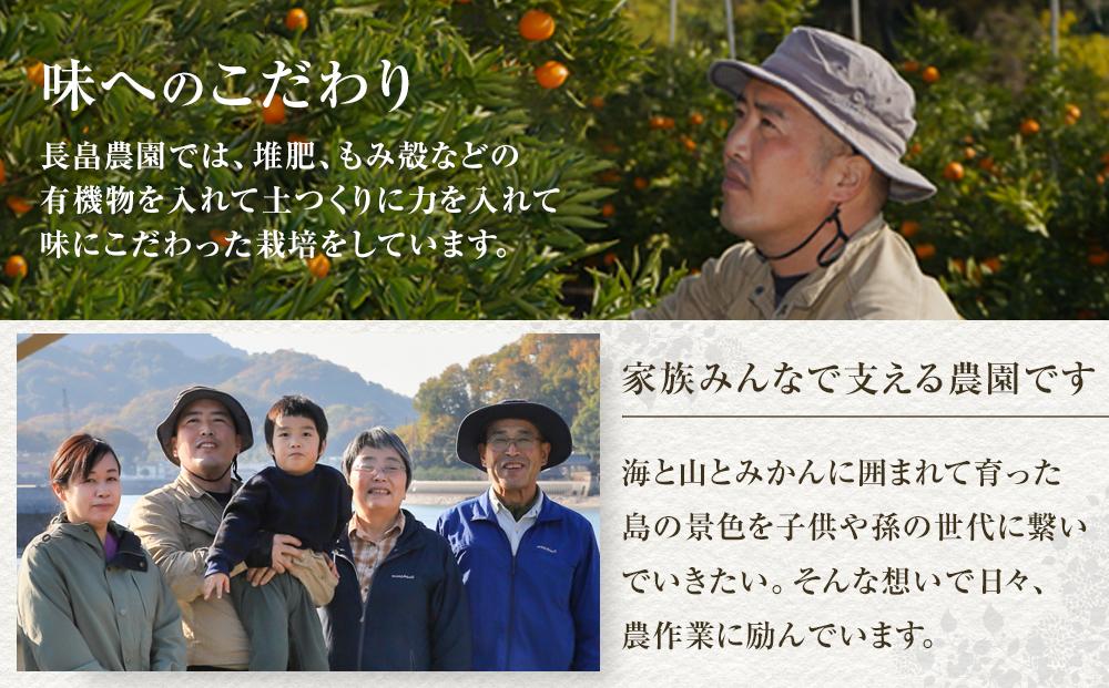めっちゃジューシー　完熟清見3ｋｇ　＜2026年3月下旬より発送開始＞【ミカン みかん 蜜柑 フルーツ 果物 完熟 青果 柑橘 尾道市】
