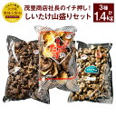 【ふるさと納税】茂里商店社長のイチ押し！しいたけ山盛りセット 合計1.4kg 3種 椎茸 しいたけ どんこ 乾燥シイタケ 乾椎茸 セット 詰め合わせ 国産 九州 大分県 送料無料