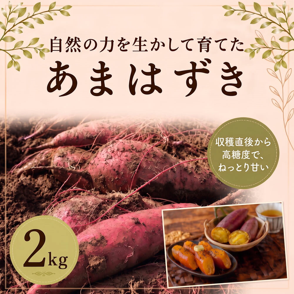 【ふるさと納税】 芋 さつまいも あまはずき 2kg 旬 野菜 いも 焼き芋 やきいも imo イモ 甘い 食物繊維 ビタミンC 熟成 産地直送 蜜 干し芋 お菓子 お芋 新鮮 栄養 美味しい 加熱 たべる ほくほく ねっとり こだわり 料理 自家栽培 ベジタブル 菓子うつろひ 千葉 東金