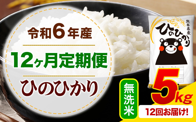 
            【12ヶ月定期便】令和6年産 無洗米 ひのひかり 定期便 5kg《お申込み月の翌月から出荷開始》令和6年産 熊本県産 ふるさと納税 精米 ひの 米 こめ ふるさとのうぜい ヒノヒカリ コメ お米
          
