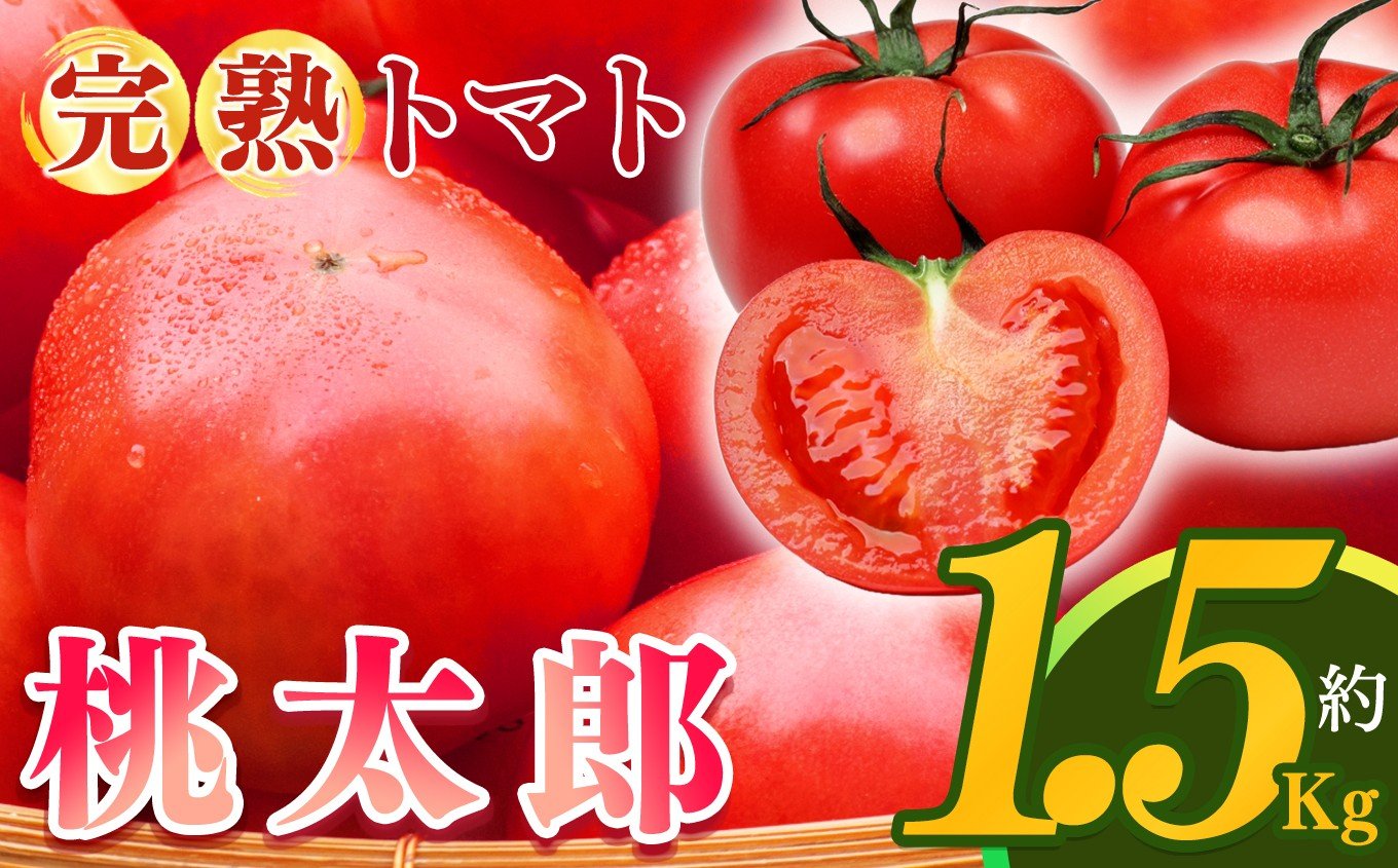 
            完熟した 栄養 たっぷり 桃太郎 トマト 約1.5kg | ＜発送期間：2月～6月頃＞ トマト 1.5kg フルーツトマト トマト リコピン 皮が薄い 食べやすい 甘み 濃厚な味わい 野菜 新鮮 食品 国産 健康 お取り寄せ 奈良県 平群町
          