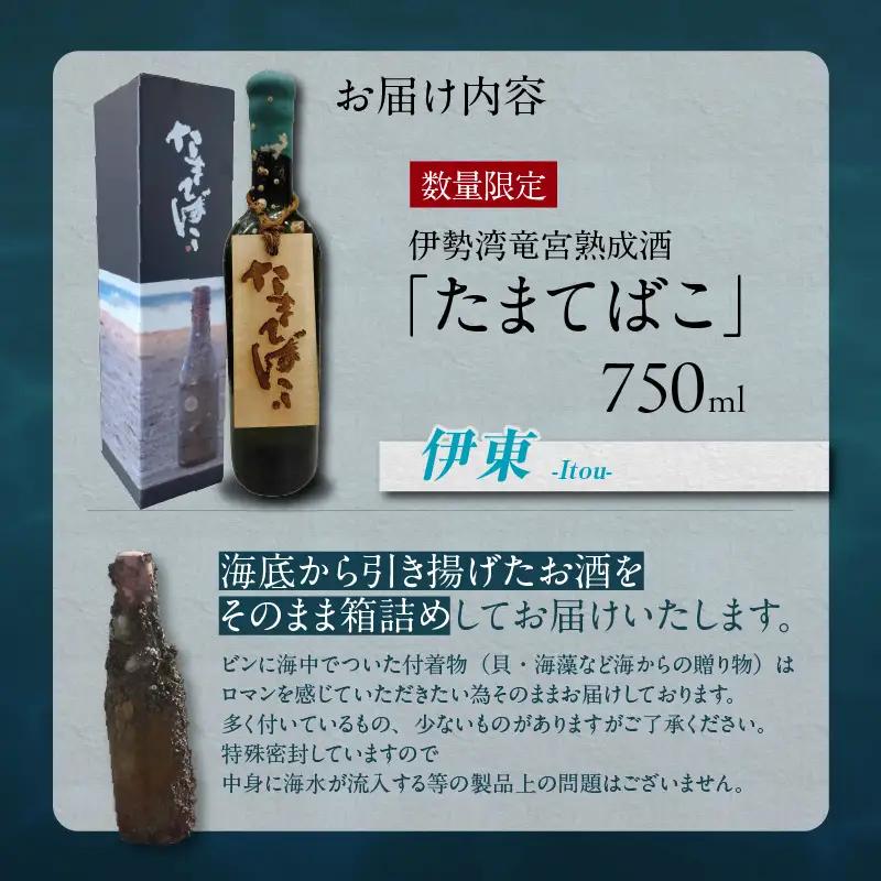 【テレビで紹介！】伊勢湾竜宮熟成酒「たまてばこ」【伊東】│日本酒 酒 常滑市