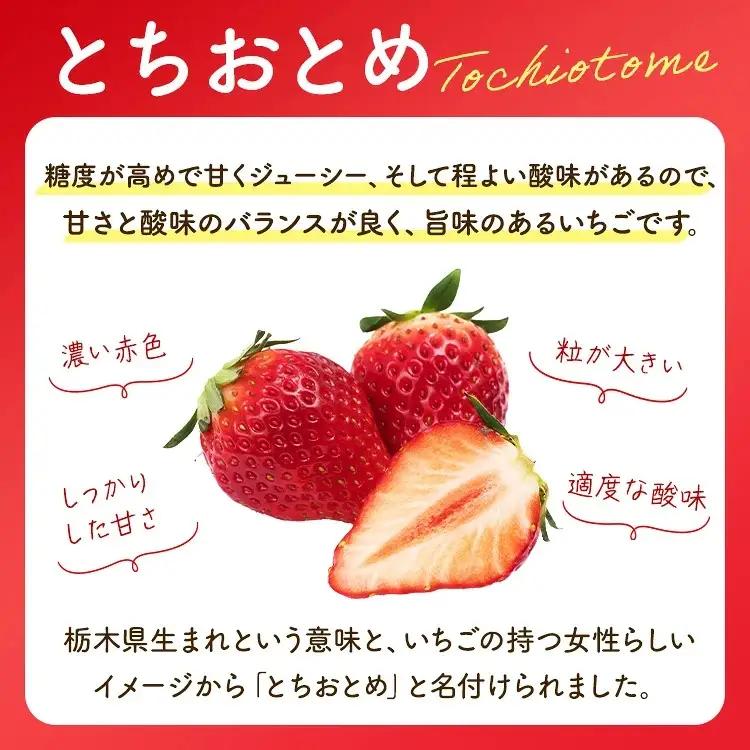【訳あり】とちおとめ 320g×4パック 約1.2kg グランデサイズ｜果物 フルーツ イチゴ 苺 グランデ 産地直送 大粒 甘い 数量限定 栃木県 壬生町 ※2027年1月～発送