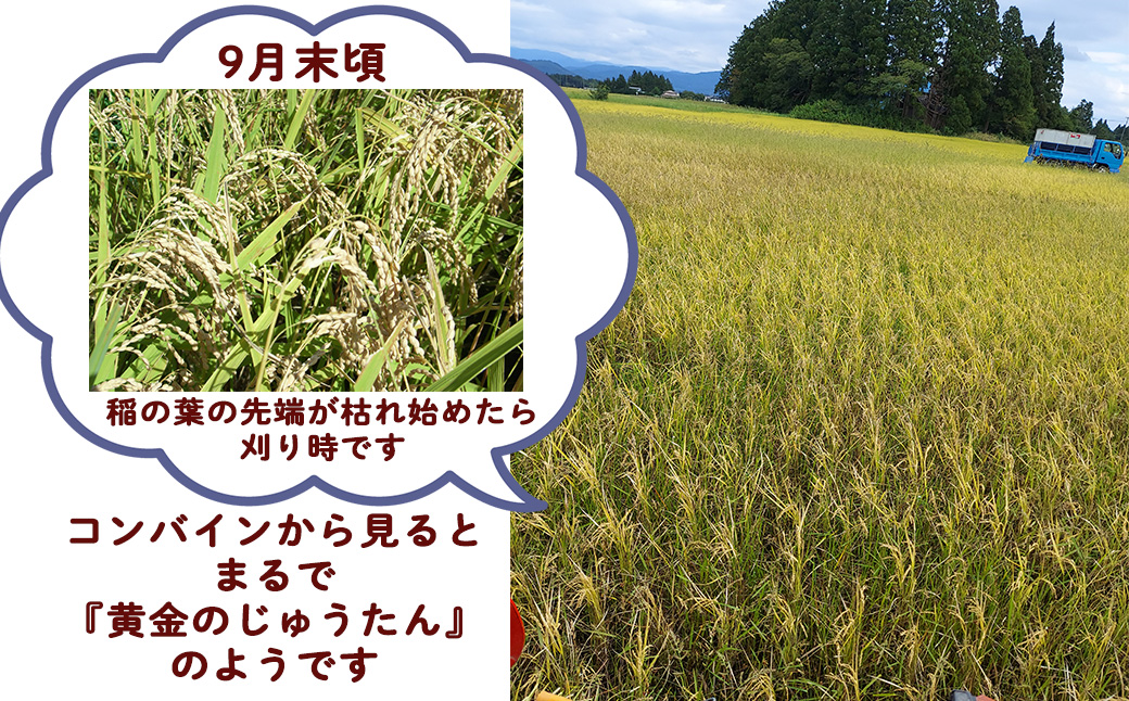 ＜令和8年産予約受付＞銀河のしずく厳選プレミアム（減農薬・減化学肥料）5kg 【1893】
