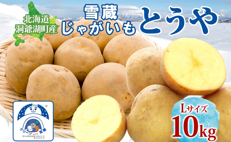 雪蔵じゃがいも 10kg とうやＬサイズ 2026年3月上旬～3月末までお届け ジャガイモ 芋 甘い なめらか しっとり カレー 調理 料理 煮込み料理 雪蔵 旬 季節 農作物 野菜 根菜 北海道 とうや湖農業協同組合 