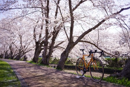和尚のガイドで巡る自転車ツアー「ディープな京都・宇治田原」2名様分 体験チケット