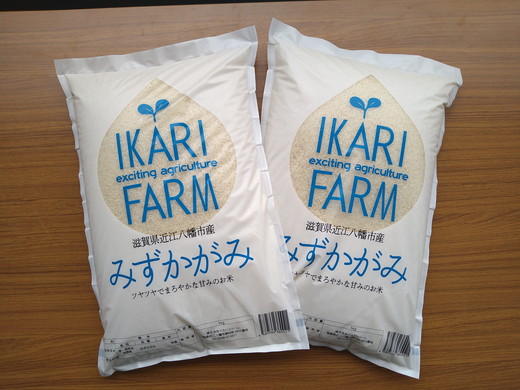 【新米】【7年産】冷めても美味しいあっさりとした味わい「みずかがみ」白米【10kg（5kg×2袋）】【C015U2】