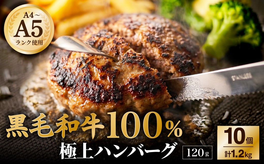 
                  【A4～A5ランクの黒毛和牛100%】 ハンバーグ 120g×10個 （計1.2kg） ／ 黒毛和牛 黒毛和種 和牛 国産牛 牛肉 牛 お肉 肉 ハンバーグ ハンバーグステーキ ハンバーグセット グルメ BBQ バーベキュー キャンプ アウトドア ギフト 贅沢 冷凍 個包装 大阪府 阪南市
                