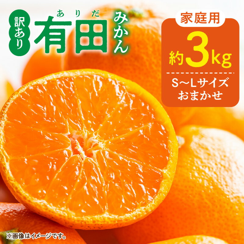 【ふるさと納税】【限定】 家庭用 有田みかん 和歌山県産 S～Lサイズ 大きさお任せ 約3kg 【ミカン 蜜柑 柑橘 温州みかん 和歌山 有田 訳あり 】