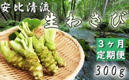 岩手県産 生わさび 300g 定期便3ヶ月 【安比清流山葵園】 ／ 山葵 ワサビ わさび 薬味 国産 八幡平市産 産地直送 新鮮 調味料 お肉 蕎麦 和え物 漬け物 刻み おろし 辛味 お寿司 そば 肉の薬味 魚の薬味 そばの薬味 おすすめ オススメ
