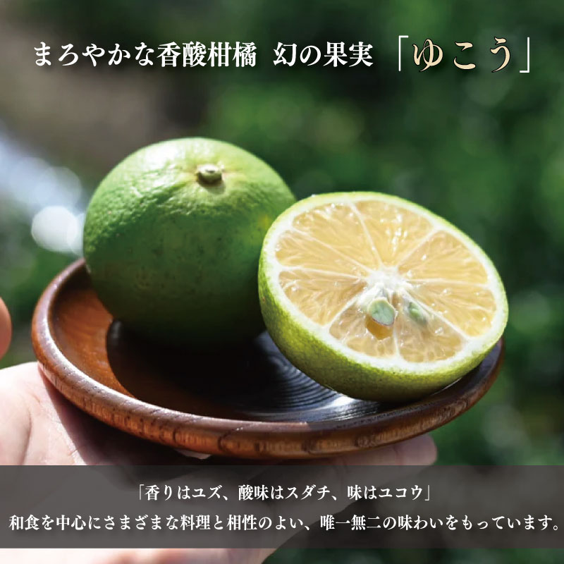 ゆこう くるみ ドレッシング 150ml × 3本 柑橘 柚香 果汁 ナッツ サラダ 野菜 豚肉 しゃぶしゃぶ ゆず すだち に負けない 徳島 勝浦