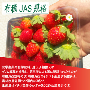 植物系有機肥料のいちご 瑠璃の宝箱 計500g(250g×2P) 《2026年2月～5月発送》 先行受付 いちご いちご