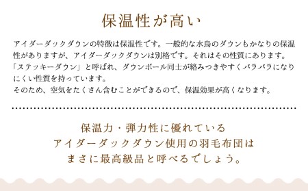 羽毛布団【シングル】アイルランド産アイダーダックダウン700g　高級生地使用【S-38】