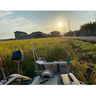 ふるさと納税 能美市 天日干有機米こしひかり「天地の誉」白米10kg (5kg×2袋) |  | 03