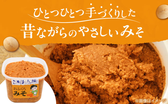 手づくりおふくろみそ 900g×2パック 《厚真町》　【とまこまい広域農業協同組合】ミソ 味噌 発酵食品 無添加 みそ汁 味噌汁 北海道　[AXAB037] 7000 7000円