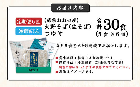 【6ヶ月定期便】生そば 5食 × 6回 計30食 つゆ付｜越前そば  大野  名水  石臼挽き