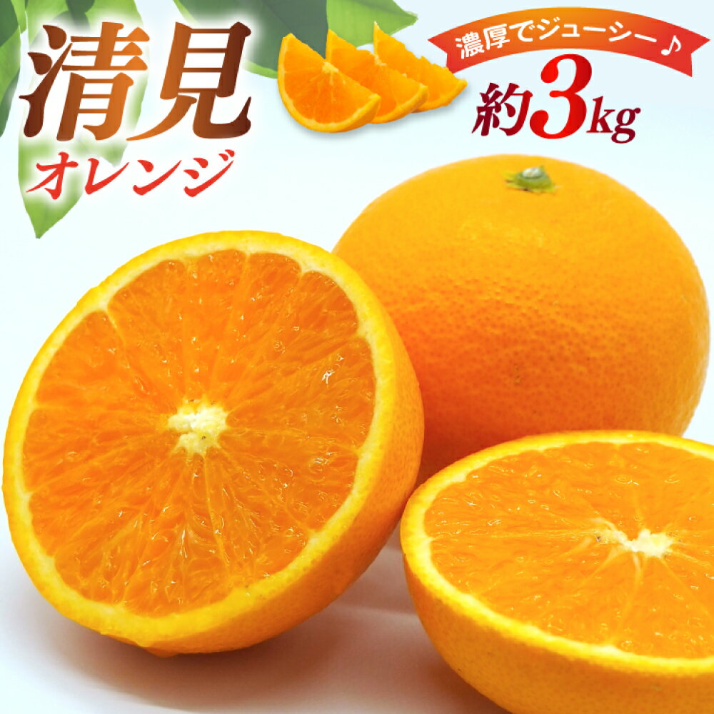 【ふるさと納税】先行予約 清見 オレンジ 約3kg（3L～M）みかん ミカン 蜜柑 柑橘 果物 くだもの フルーツ 3キロ 国産 九州 長崎県 長崎市 送料無料【2026年3月下旬～4月上旬発送予定】