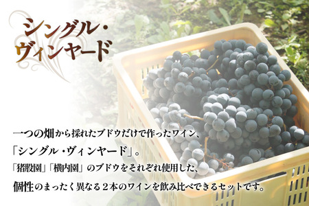 【定期便12回】赤ワイン 穂坂マスカット・ベーリーＡ シングル・ヴィンヤード 750ml 2種 アルコール度 12%