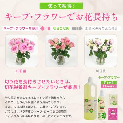 ふるさと納税 静岡市 切花栄養剤キープ・フラワー 2L |  | 01