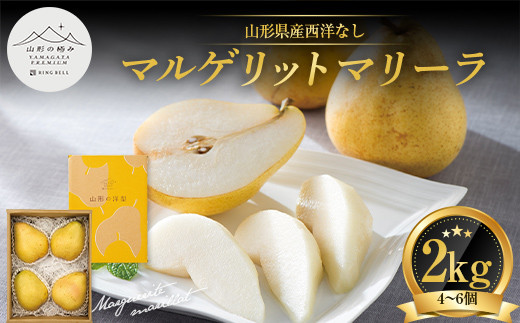 
                  【山形の極み】 贈答用 山形県産 西洋梨 マルゲリットマリーラ 2kg（4～6玉） 2026年9月下旬から順次発送 F2Y-7053
                