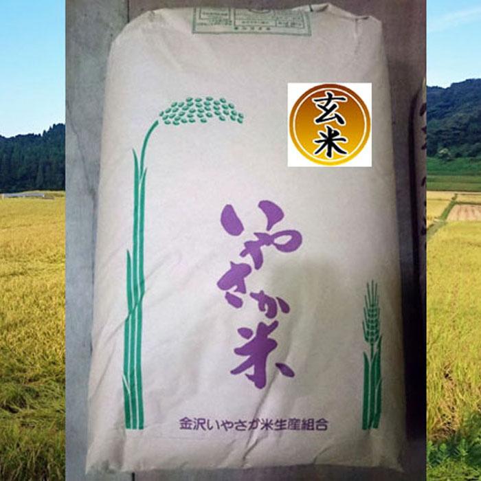 令和7年産 新米 金沢いやさか米 コシヒカリ（玄米）30kg