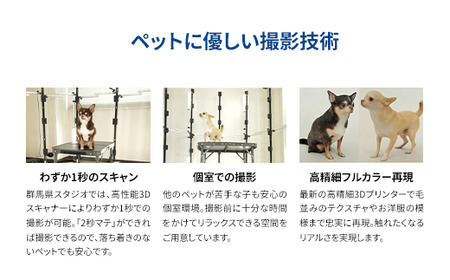 メモアペッツ!愛犬フィギュア(高精細3Dプリンターで作るリアルなフィギュア)【有限会社巽社】