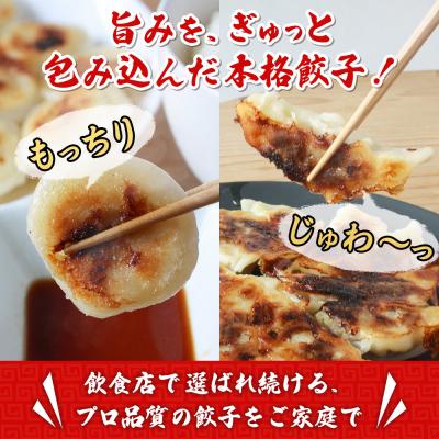 ふるさと納税 西予市 <愛媛のおいしい餃子セット もっちり餃子 125個(25個×5袋)国産 本格 |  | 01