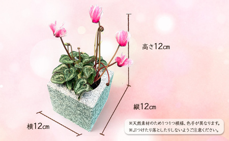 自然石フラワーポット サイズ(約)縦12cm×横12cm×高さ12cm フラワーポット 角型 自然石 植木鉢