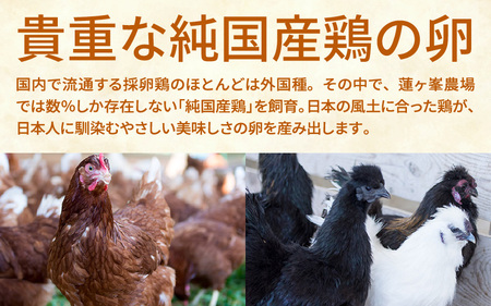 【蓮ヶ峯農場】京都奥丹波 平飼いたまご 12個
