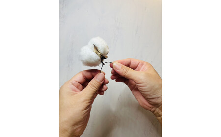 コットンボールのリースキット1