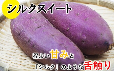 【 先行予約 】さつまいも 約 2kg シルクスイート or 紅はるか | 高評価 多数 ランキング 入賞 甘藷 蜜いも 秋の味覚 品種お任せ 訳あり 家庭用 サイズ不均一 小さめ キズ スレ 家庭用