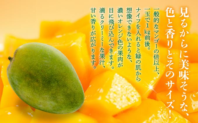 <先行予約・数量限定>キーツマンゴー 秀品(1kg)KM009