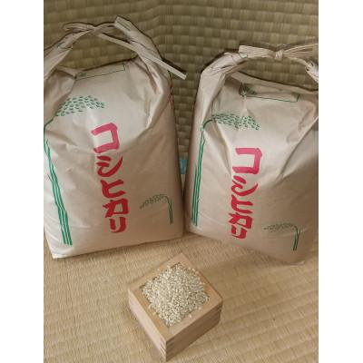 ふるさと納税 幸手市 令和8年幸手産こしひかり(玄米)[5kg×2袋]
