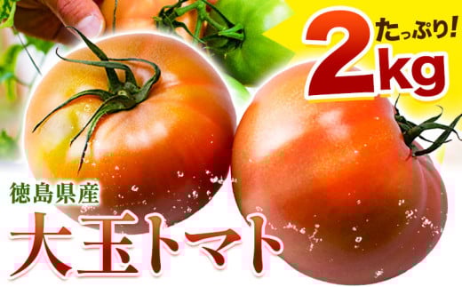トマト 大玉トマト 2kg 《11月上旬-6月末頃出荷》 ヴェリタス株式会社 徳島県 美馬市 青果物 野菜 とまと トマト
